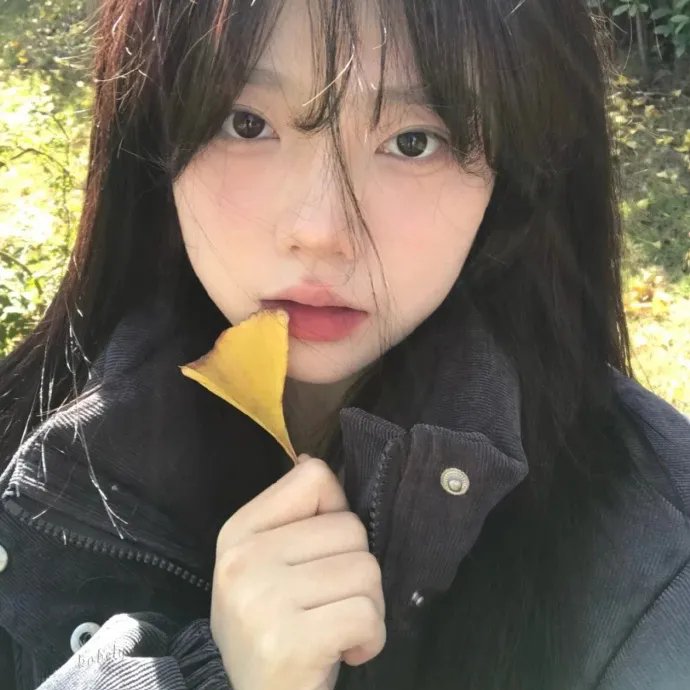 犯罪生涯